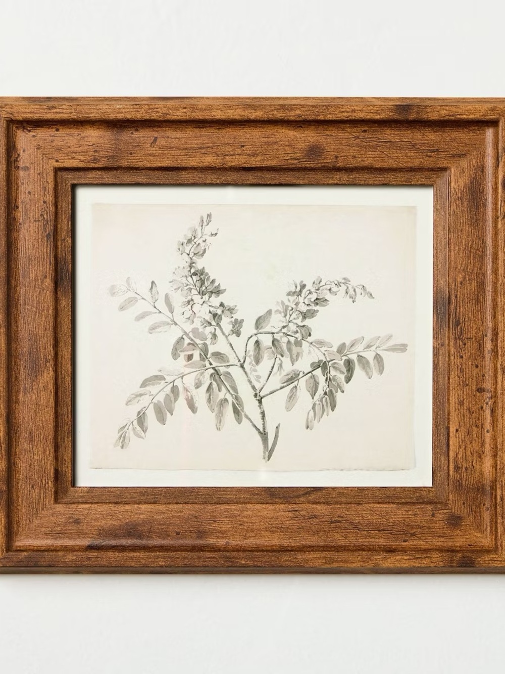 8x9 Sketched Branches Wall Art Framed - Hearth & Hand™ with Magnolia